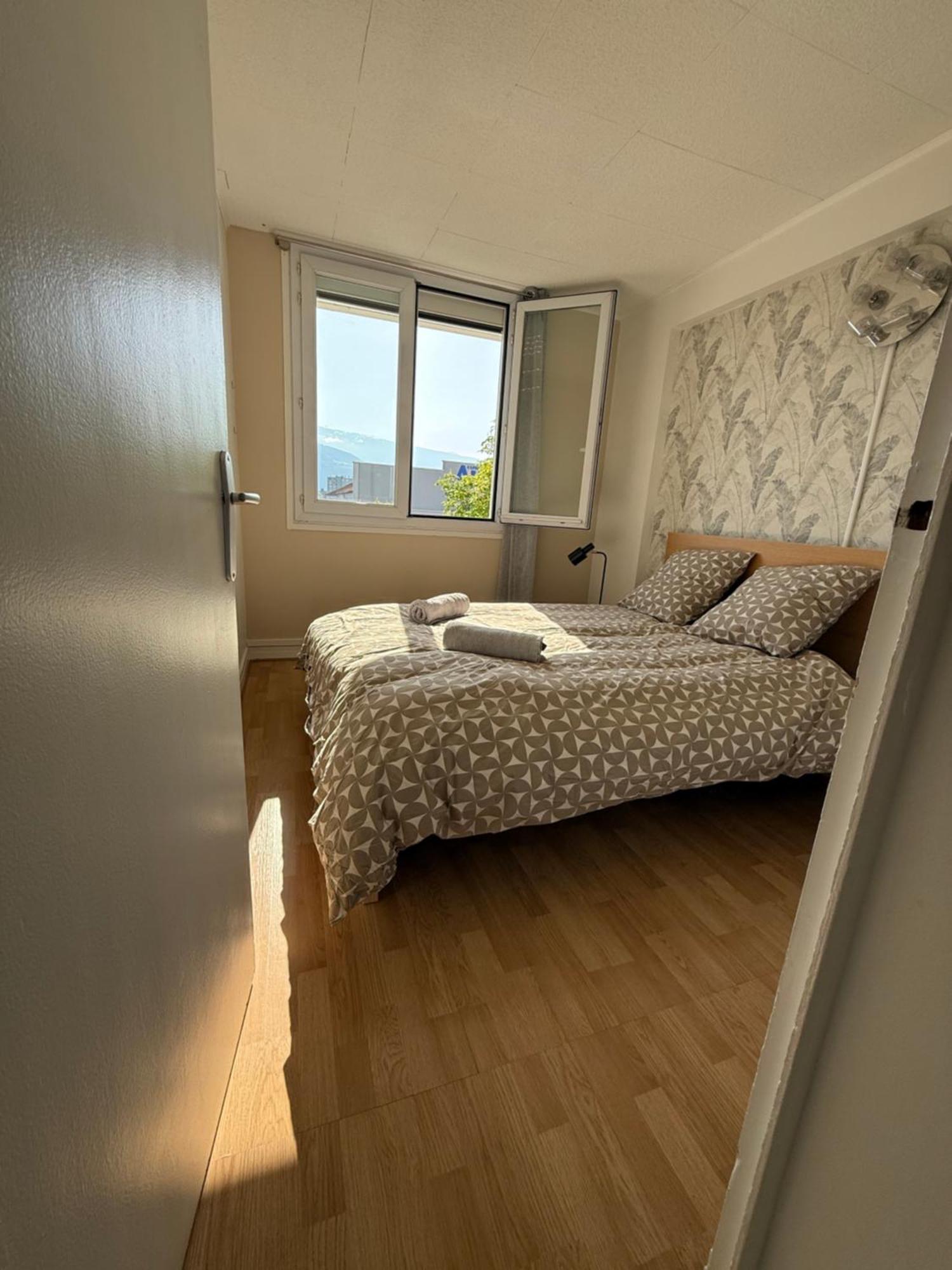 Superbe Duplex Avec Parking Gratuit Leilighet Grenoble Eksteriør bilde
